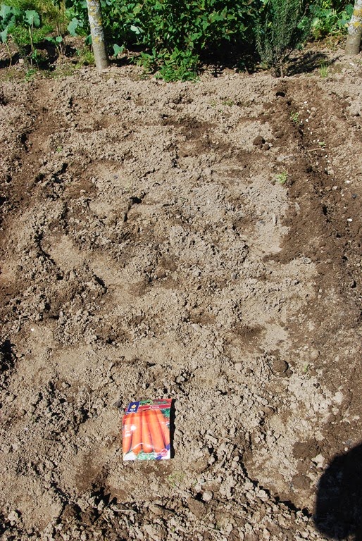 [DSC_0547%255B3%255D.jpg]