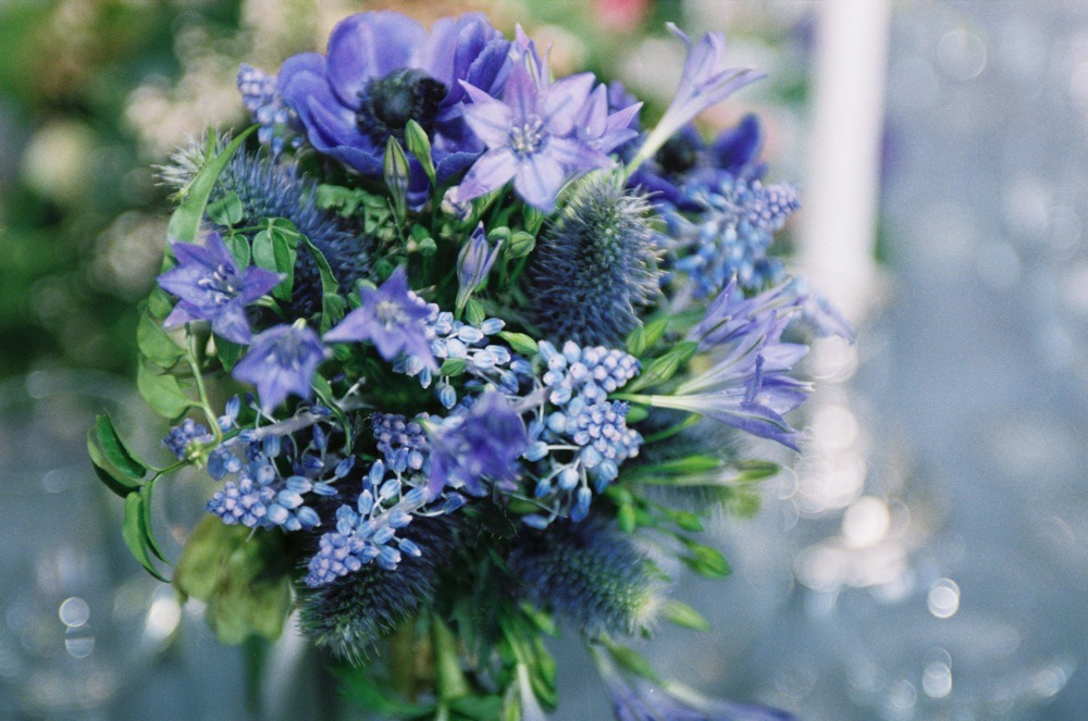 [A00009_011A-emily-thompson-flowers4.jpg]