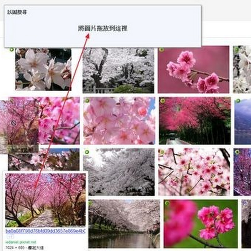 Google 網頁圖片搜尋小技巧，更快以圖搜尋重點資料