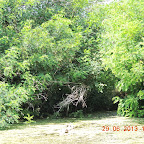 DSCN8393.JPG