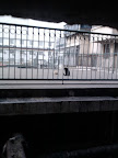 IMG_20111213_171848.jpg