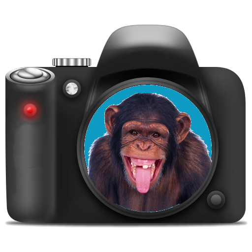 Monkey Camera LOGO-APP點子