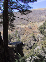 IMG_5235.JPG Photo
