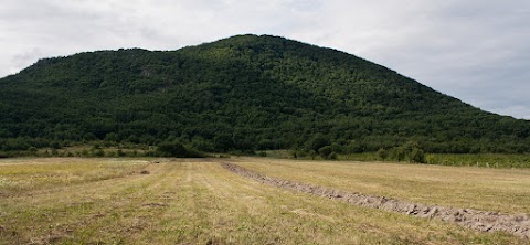 Tolvaj hegy, Slanske vrchy, Milic