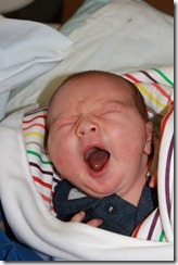 IMG_1101 IMG_1101