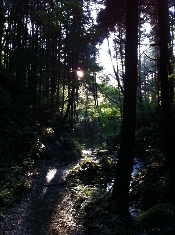 [IMG_1912%255B2%255D.jpg]