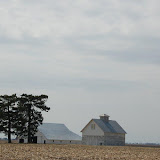 "Heartland" - copyright David Thompson