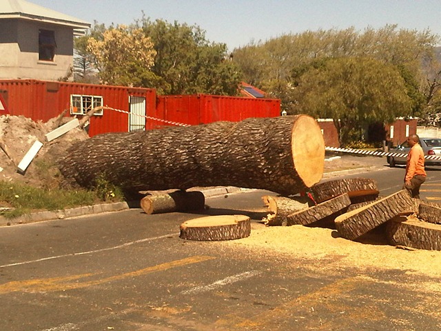 [Cape%2520Town-20110925-00031%255B5%255D.jpg]