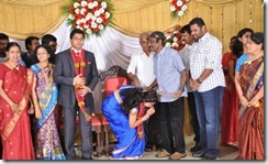 m-ramanathan-daughter-wedding-reception-pic3