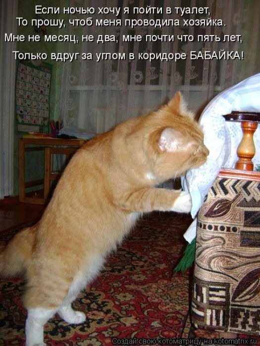 [clip_image018%255B3%255D.jpg]