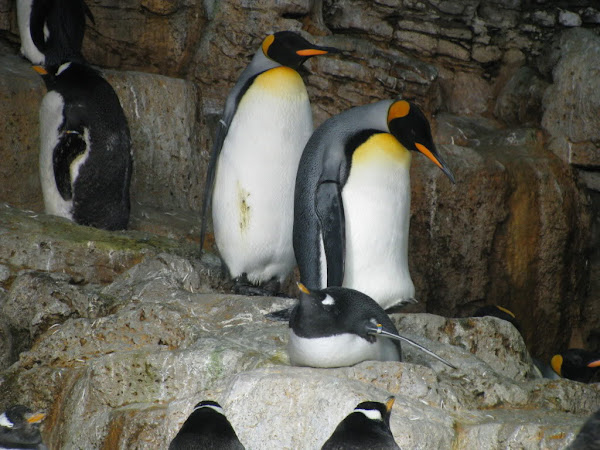 IMG_4282.jpg