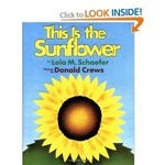 This is the Sunflower
