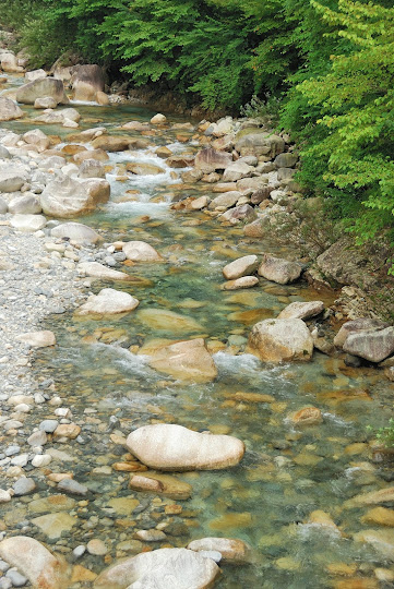 川上川