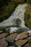 IMG_9161.JPG