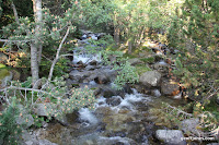 IMG_1001.JPG Photo