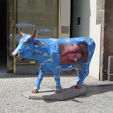 Europe Trip - Cows - cow12.JPG
