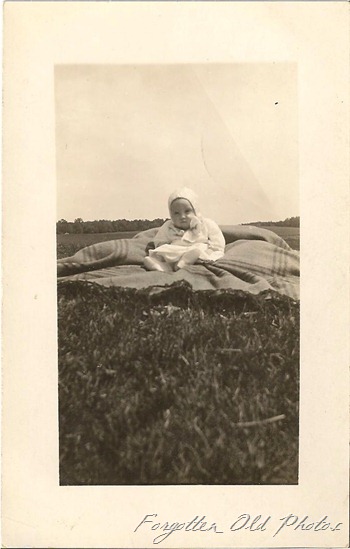 Delores melby DL Ant Delores melby DL Ant