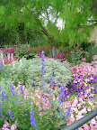 Another view of the entry bed. More petunias, old fashioned poppies, larkspur, and artemisia.