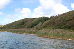 DSC_0430.JPG