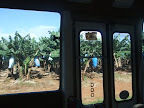 DSCF0188.JPG