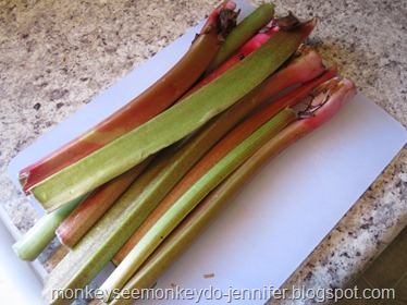 rhubarb  (5)