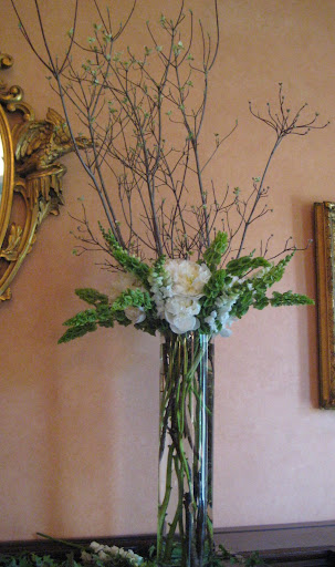 Chris Anderson &amp; Beverly Barlow's Work