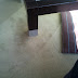 2012-02-29 14.13.17.jpg