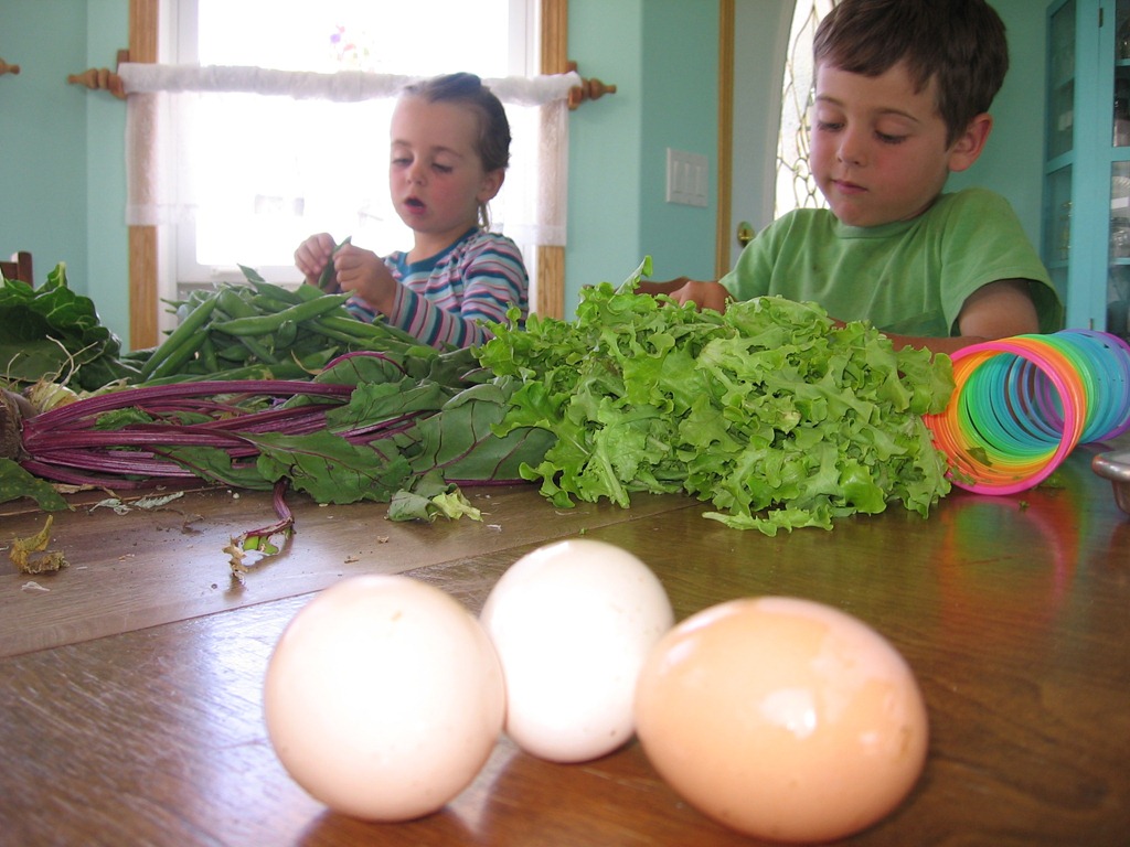 [garden%2520011%255B4%255D.jpg]