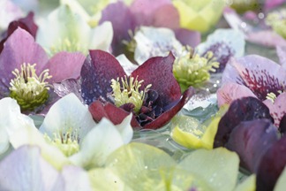 20120325_114220