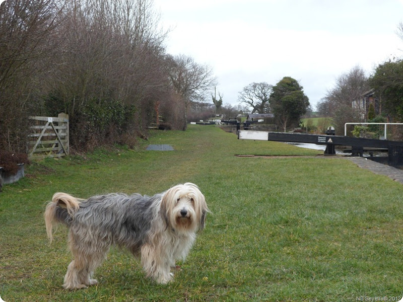 SAM_0016 Frankton Locks SAM_0016 Frankton Locks