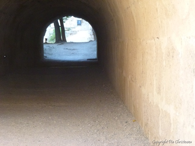 [P10007493.jpg]