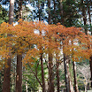 hokkaido_811.jpg