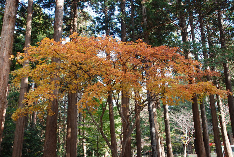 hokkaido_811.jpg