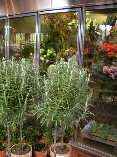 The Garden section of Jayson Home is just as lavishly filled with treasures as the showroom.