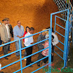 3rodeodefelixlandiaquintal099.jpg