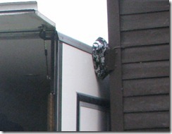 IMG_3853 IMG_3853