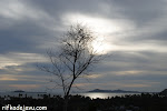 DSC_0325.JPG