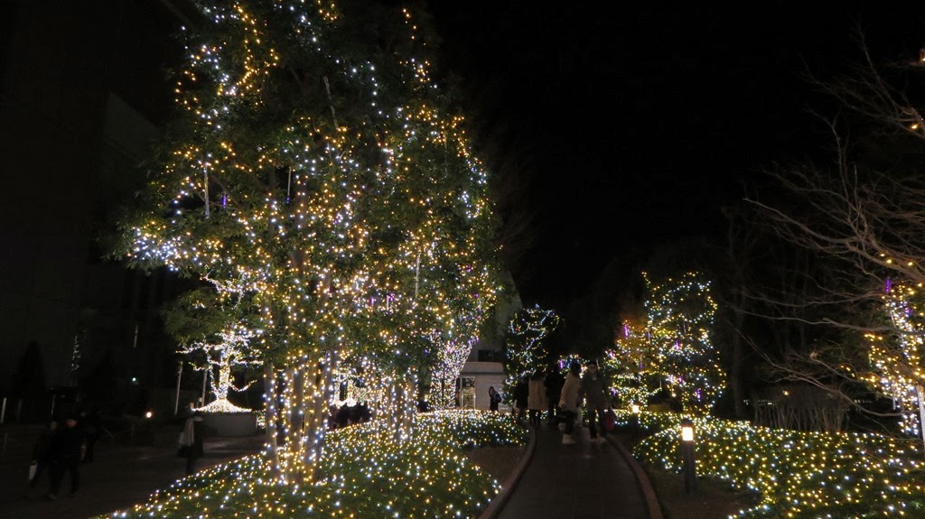 [IMG_0016%255B3%255D.jpg]