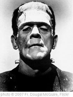 'Frankenstein' photo (c) 2007, Fr. Dougal McGuire - license: http://creativecommons.org/licenses/by-sa/2.0/