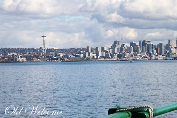 [Seattle-skyline10.jpg]