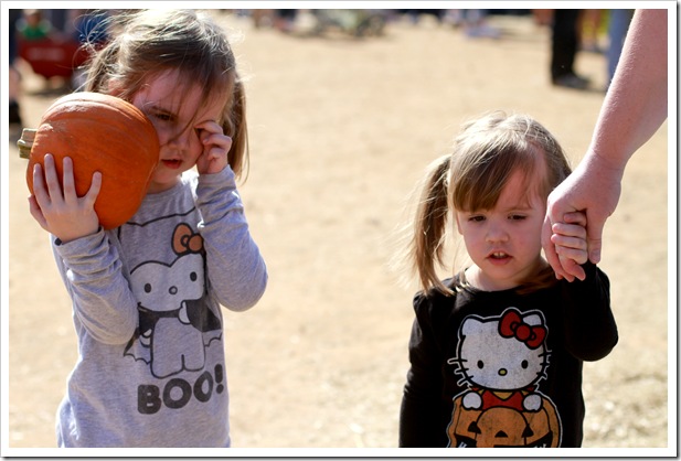 pumpkin patch IMG_0083