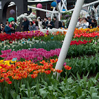 DSC_0751.jpg
