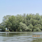 IMG_7704.JPG