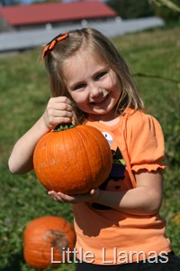 [IMG_0961%255B5%255D.jpg]