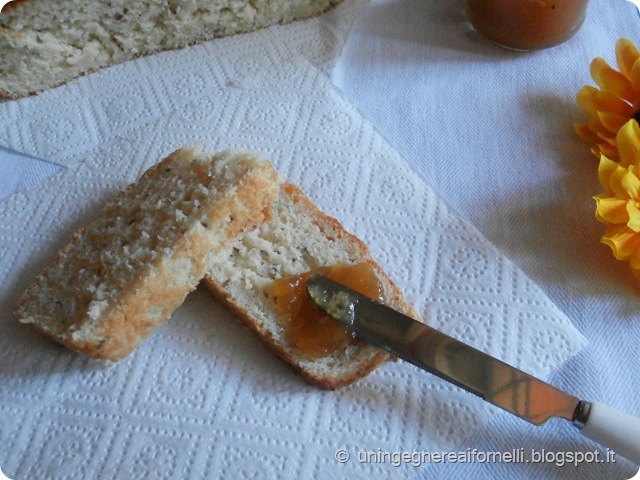pan brioches senza impasto no-knead succo mela apple juice sweet bread ricotta cheese semi lino flex seed olio extravergine oliva oil extravirgin olive evo senza uova senza burro no eggs no butter without pan brioches senza impasto no-knead succo mela apple juice sweet bread ricotta cheese semi lino flex seed olio extravergine oliva oil extravirgin olive evo senza uova senza burro no eggs no butter without
