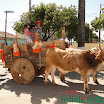 DesfiledeCarrosdeBois2011-043.jpg