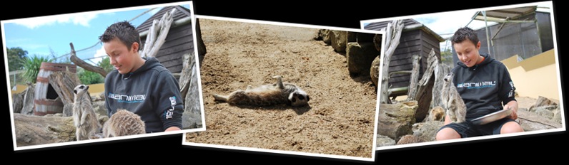 View Daniel Brinton ME