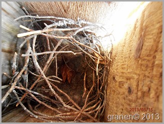 Vems bygge? P3150005