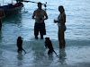 SDC10837 Phi Phi Adası Resimleri Fotoğrafları