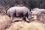 South Africa 2001